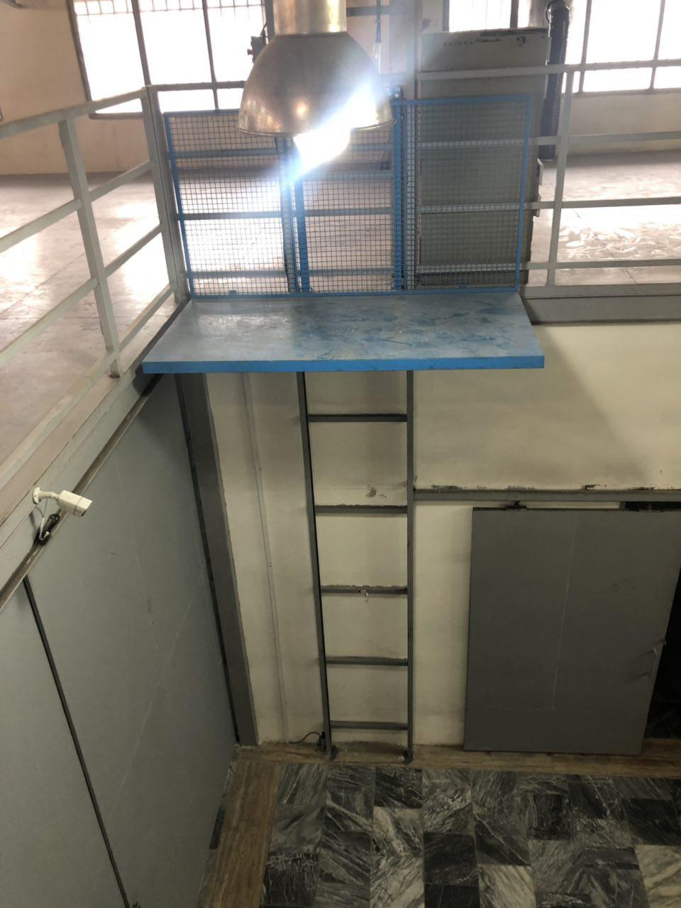photo 2019-01-22 11-41-52